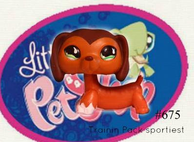 Figurine Teckel Littlest Pet Shop Hasbro - Authentique - Occasion