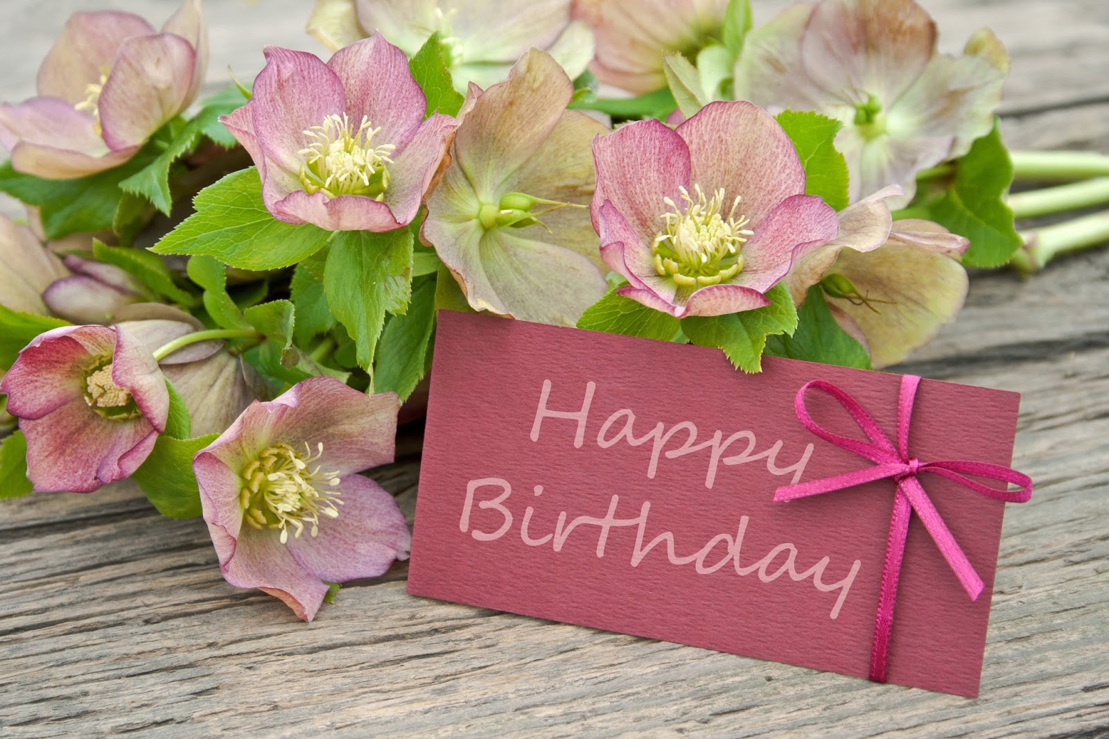 Best Birthday Flowers Images :: Birthday Wishes & Bouquet Delivery ...