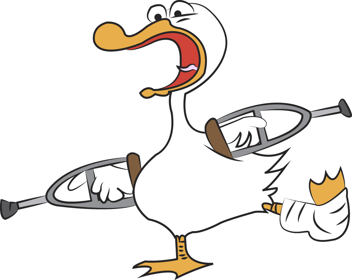 День хромой утки День хромой утки