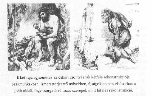 négyszögletes idióta