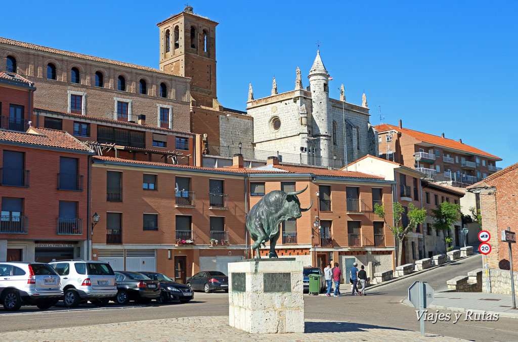Toro de la Vega Tordesillas, Valladolid