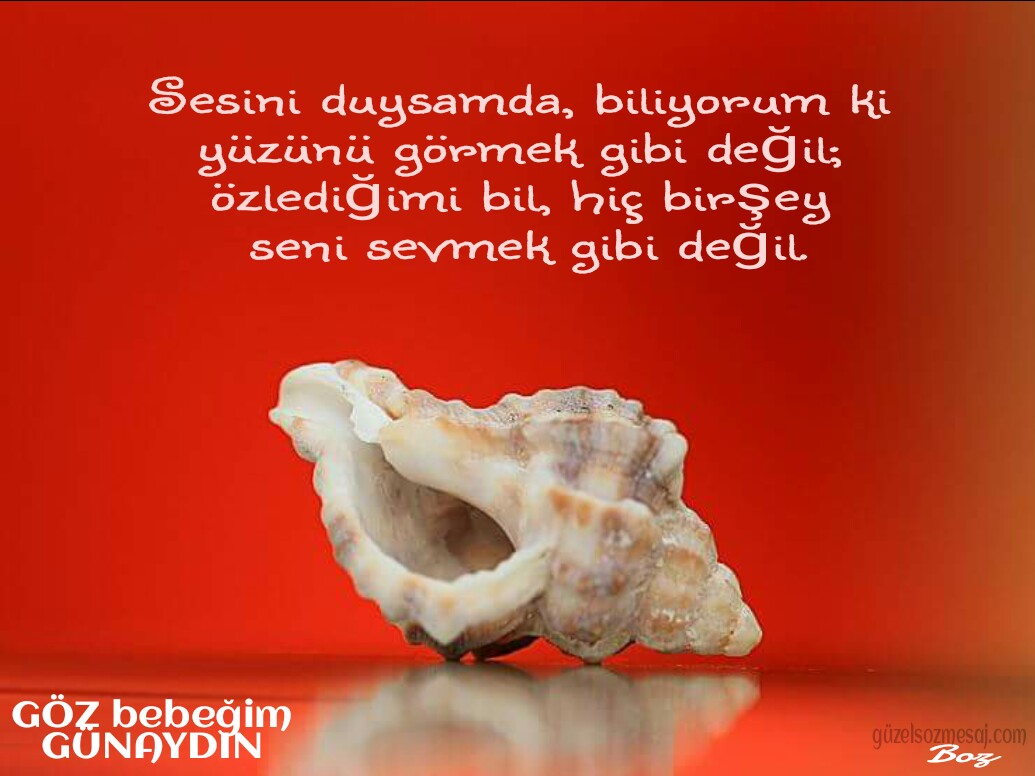 Günaydın mesajları tumblr facebook twitter kısa ve öz Günaydın mesajları tumblr facebook twitter kısa ve öz