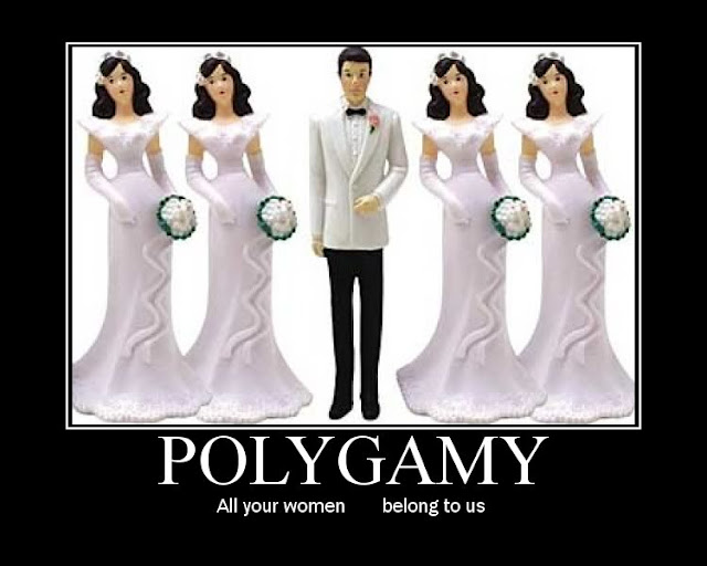 Does Scripture Really Condone Polygamy? 