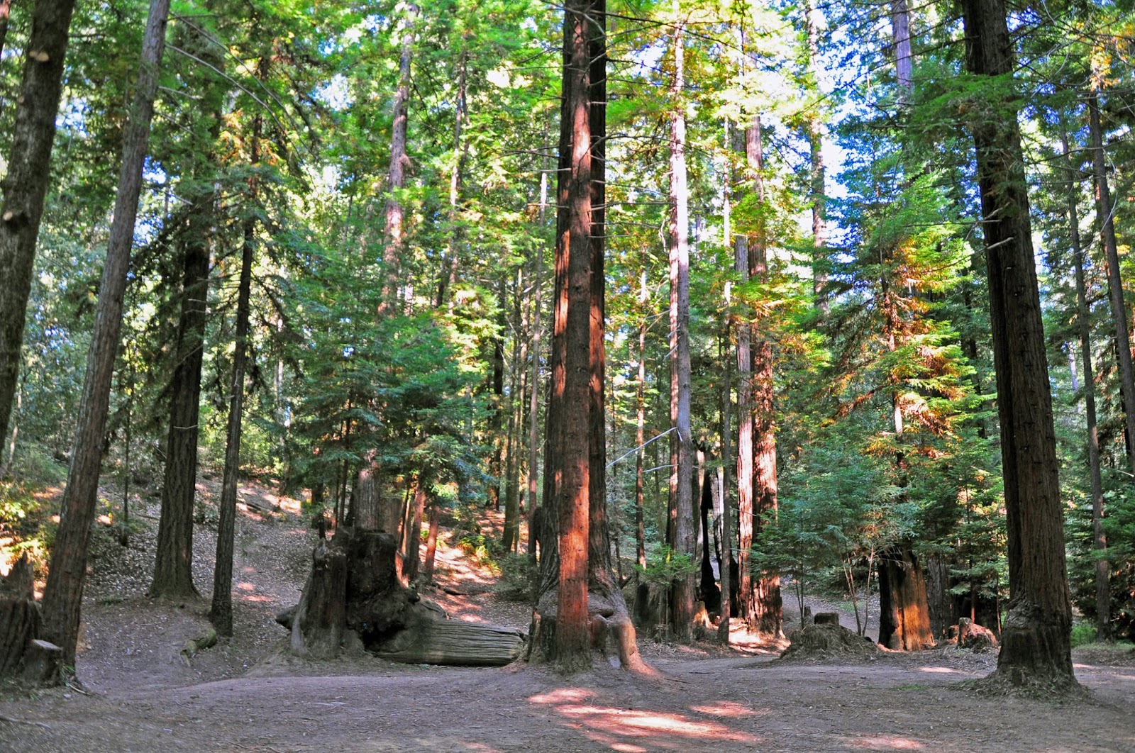 Camp Navarro A Corporate Retreat Into The Woods Art And Entertain Me By Emma Krasov Photography Yuri