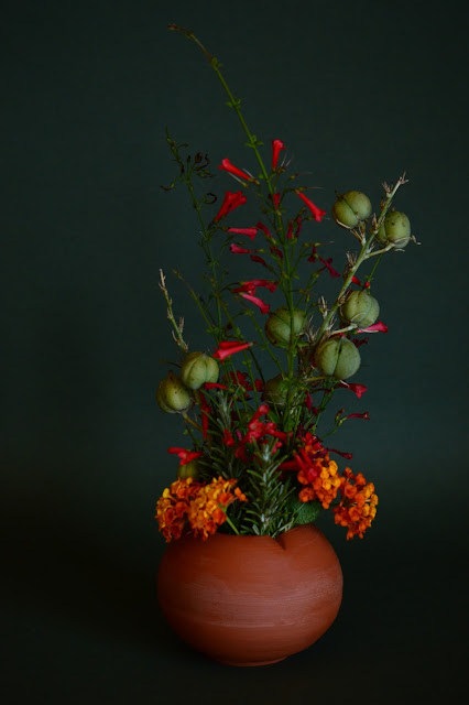 hesperaloe, seedpods, Monday vase meme, small sunny garden, russelia, lantana