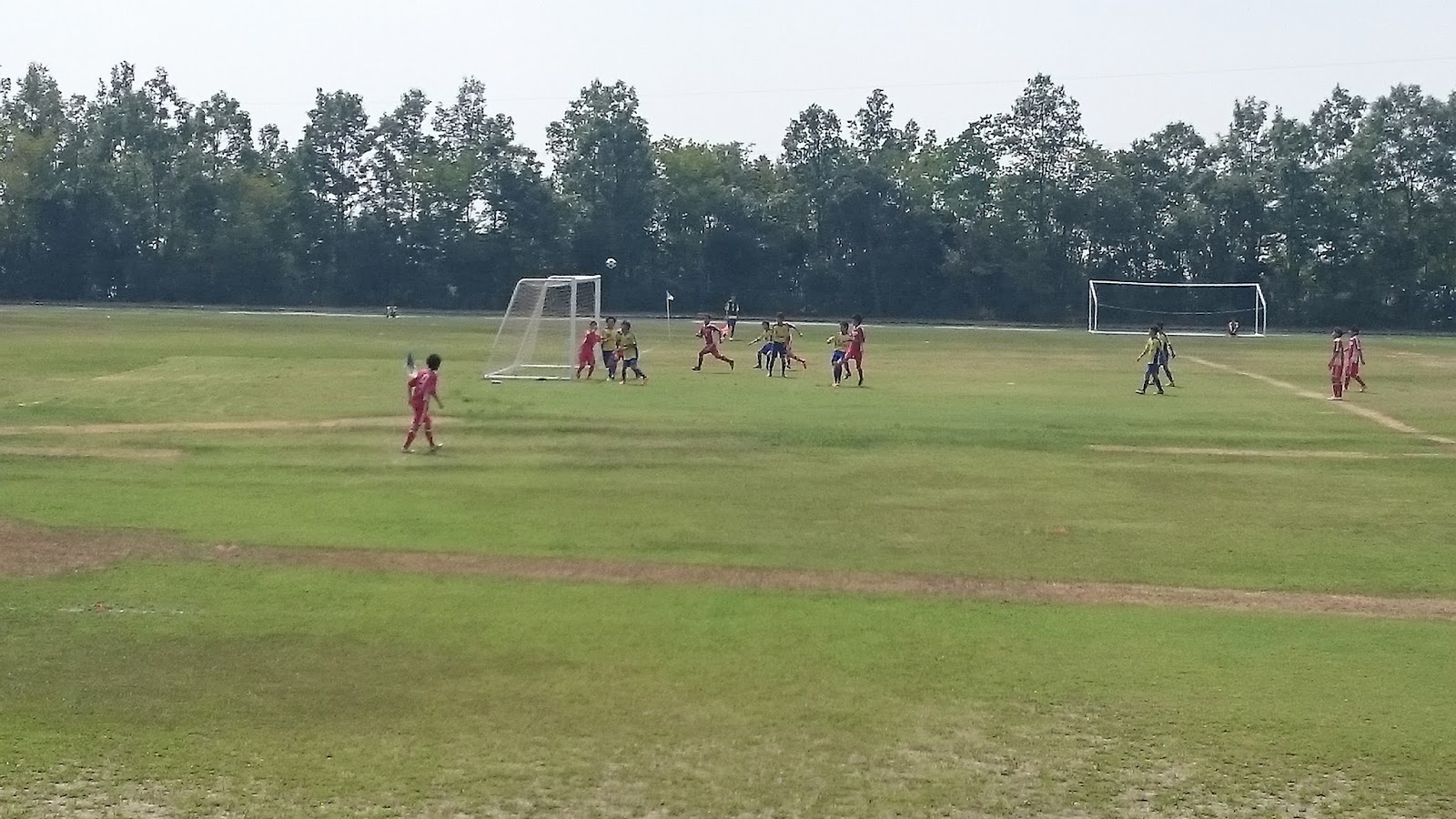 三頭の獅子 写真 高専トレセン その