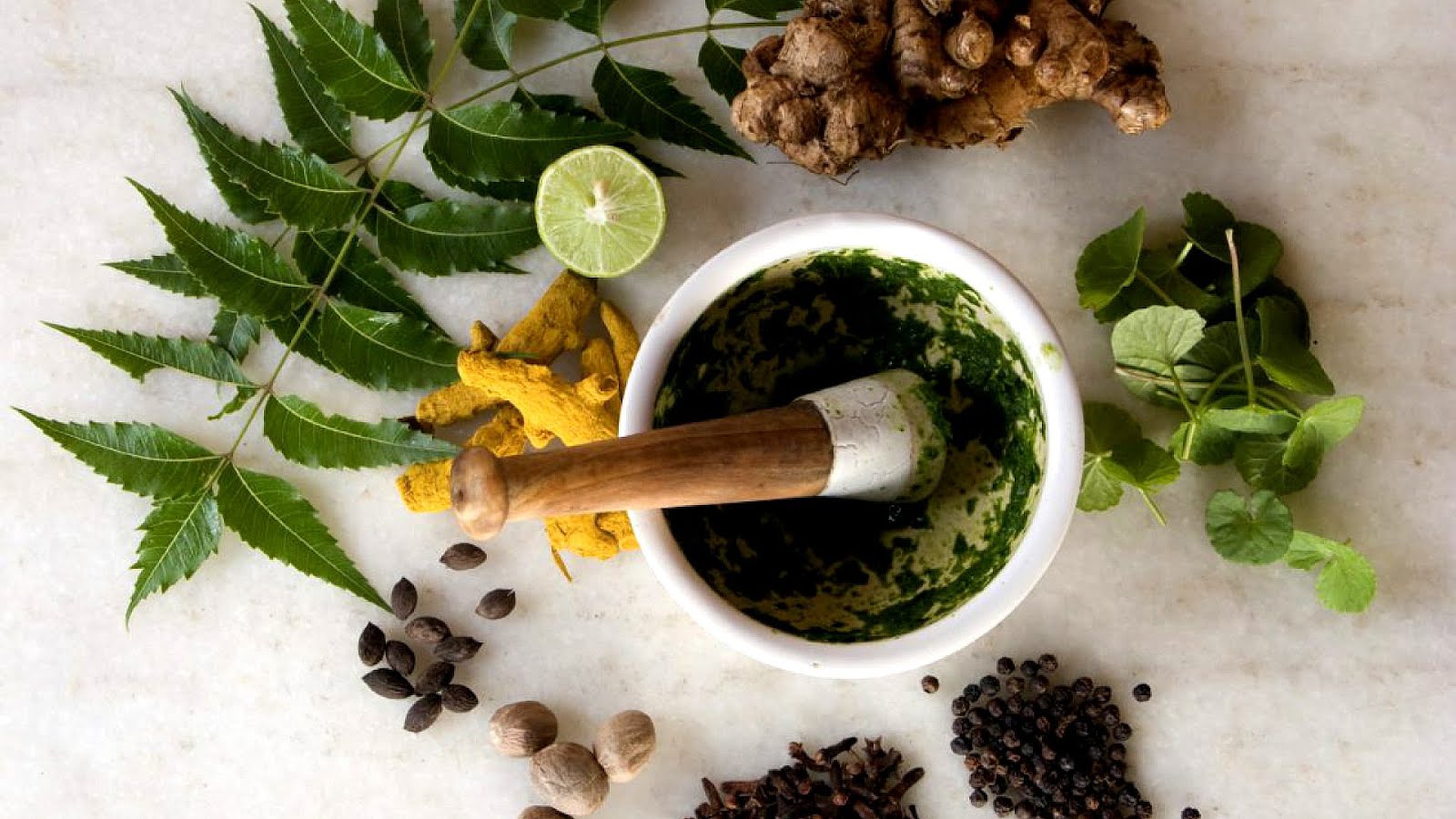 California College of Ayurveda College Choices