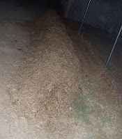 The Scientific Gardener: 5/1/12 - 6/1/12