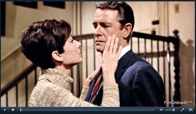 Watch The Alchemist Cookbook Instanmovie