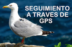 Seguimiento a traves de GPS    /  Tracking through GPS      /          GPS bidez jarraitzen