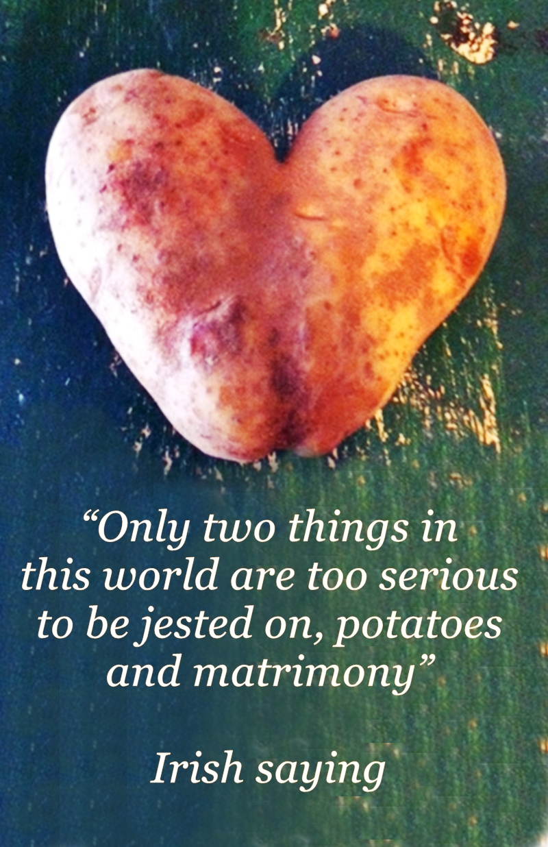 Romantic Potato Recipes for Valentine's Day! sudden lunch! suzy bowler