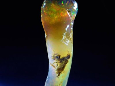 Encuentran un insecto fosilizado dentro de una piedra preciosa de opalo