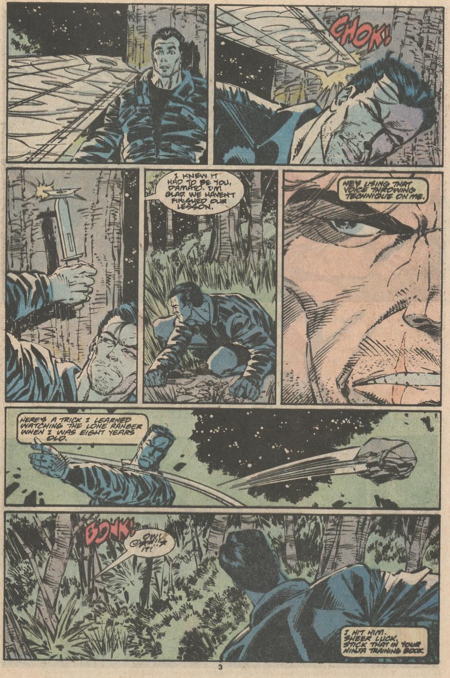 The Punisher (1987) Issue #23 - Capture the Flag! #30 - English 4