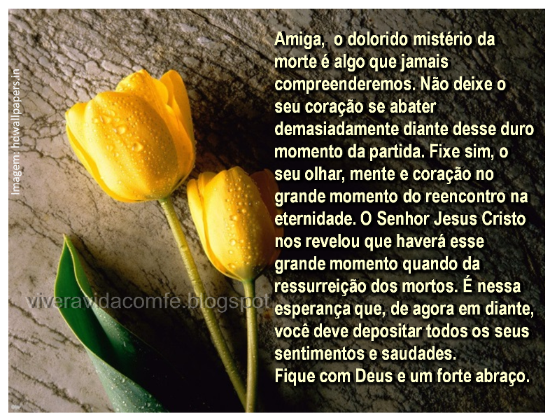 Frases De Consolo Para Quem Perdeu A Mae
