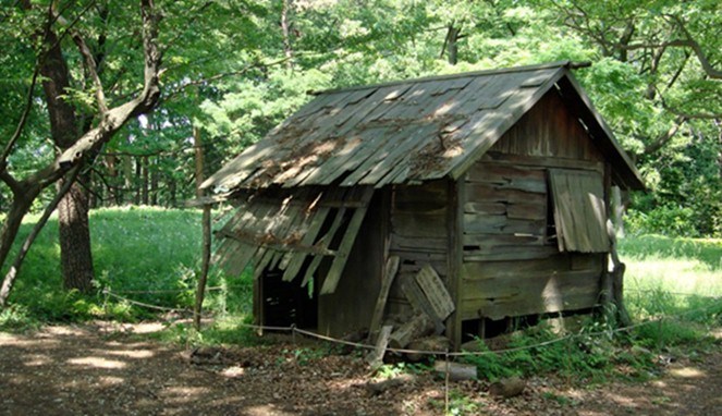 Hasil gambar untuk penamou