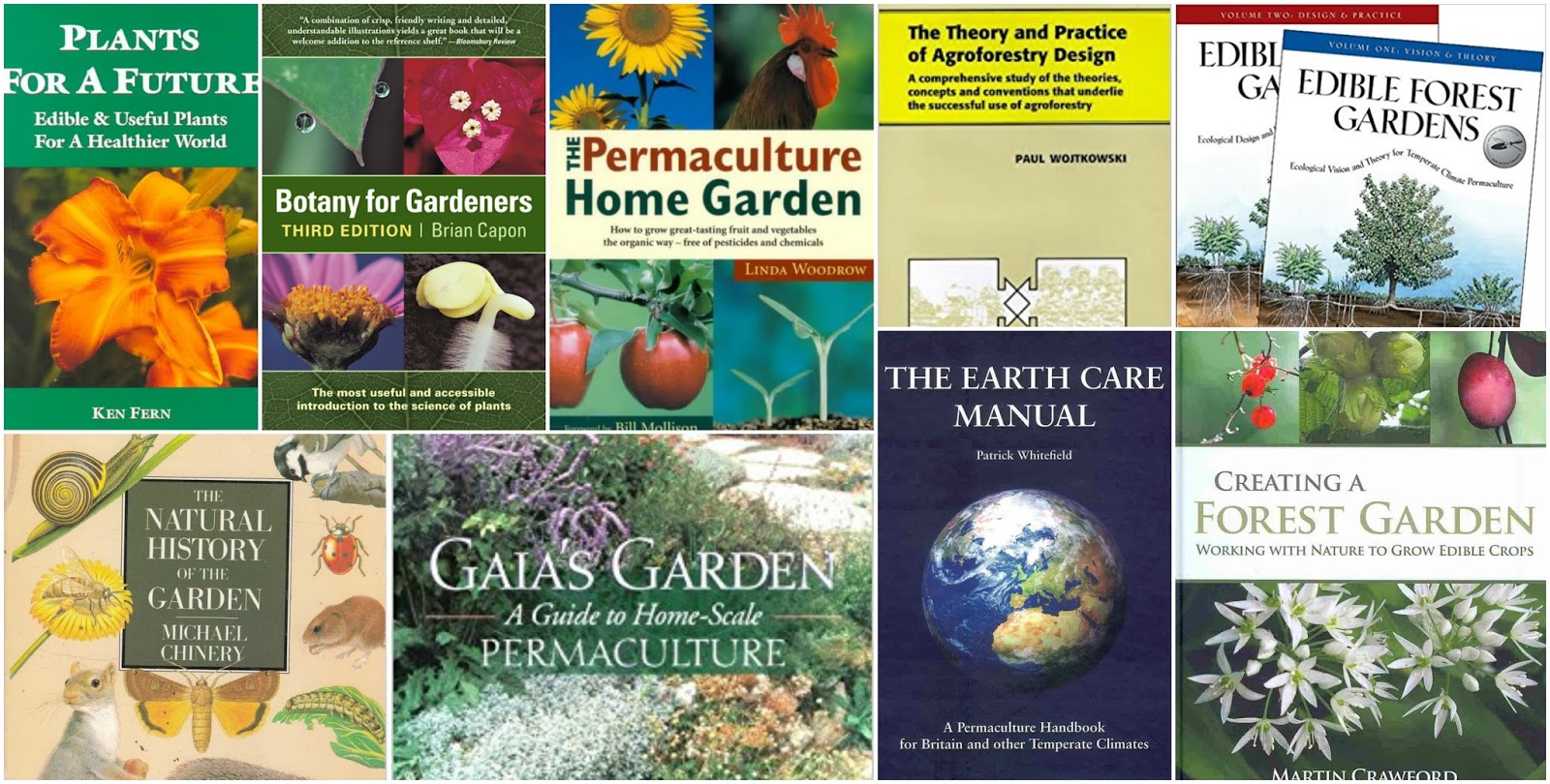 Large plants of Perm Large plants of Perm