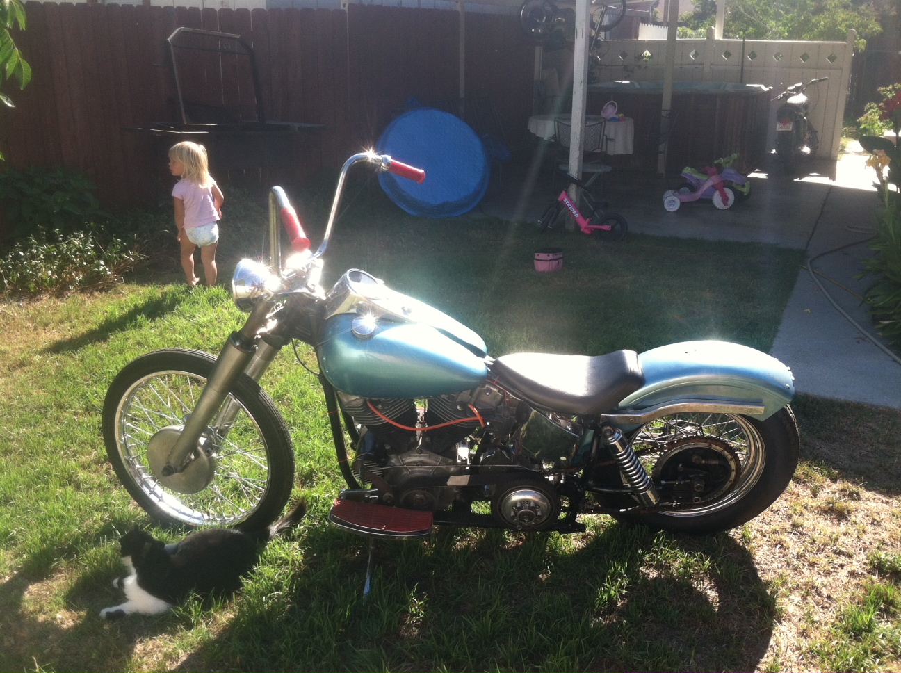 pan shovel motor