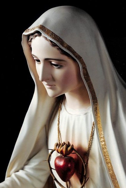 Salve Maria Imaculada!