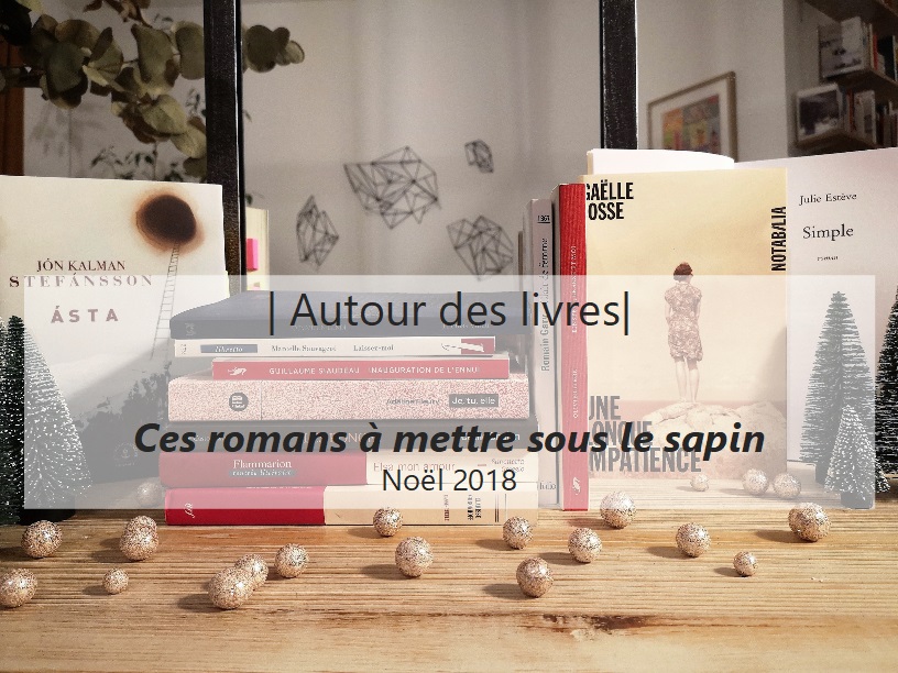 Autour Des Livres Ces Livres A Mettre Sous Le Sapin Noel 2018