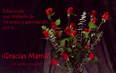 Rosas rojas con mensaje Día de las Madres (10 de mayo)