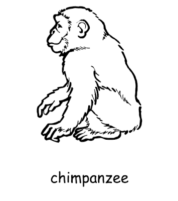 Chimpanzee Coloring Pages To Kids