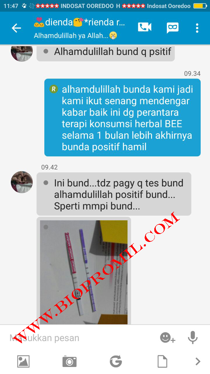Jual Herbal Neuven Di Apotik Website Resmi Promil Holistic