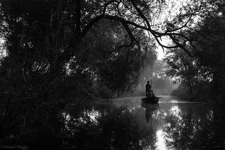 Boat ride at Keoladeo Ghana National Park