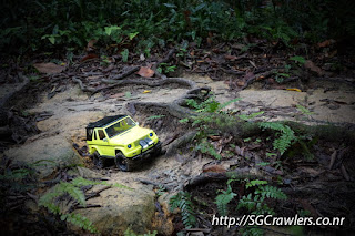 [PHOTOS] 20160424 - Rifle Range Road - Durian Loop Trail Photos DSC02850