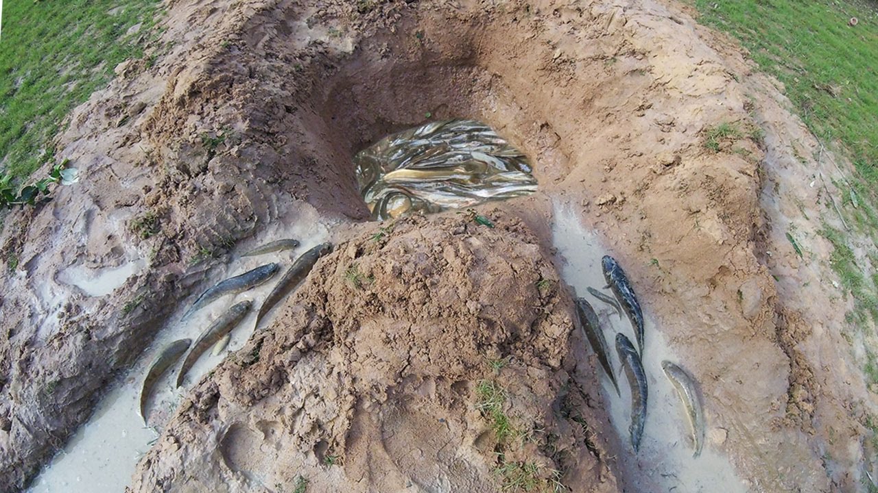 ловля сома. рыбная яма. рыбалка в грозу.