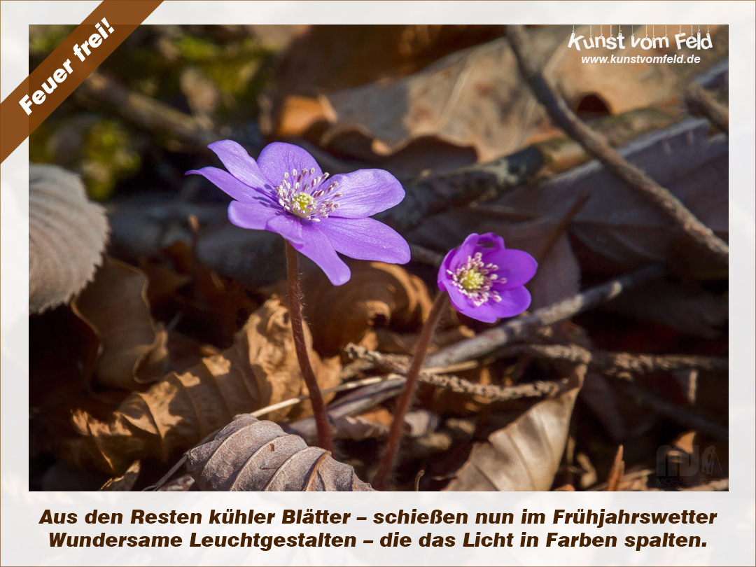 Munchen Kunst Und Antiquitaten Messe Dr Helga Wass Torial