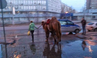 Fotos extrañas y divertidas en Rusia.