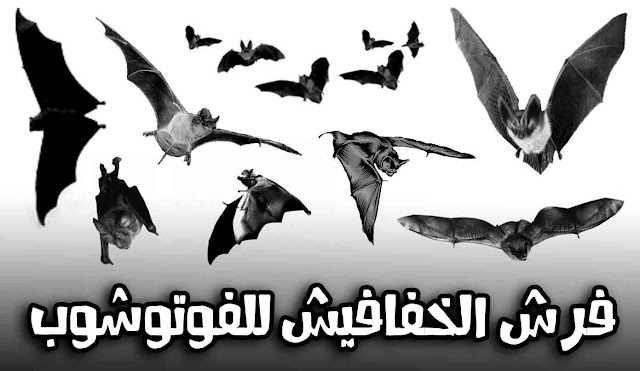 تحميل فرش الخفافيش فوتوشوب تحميل فرش الخفافيش فوتوشوب