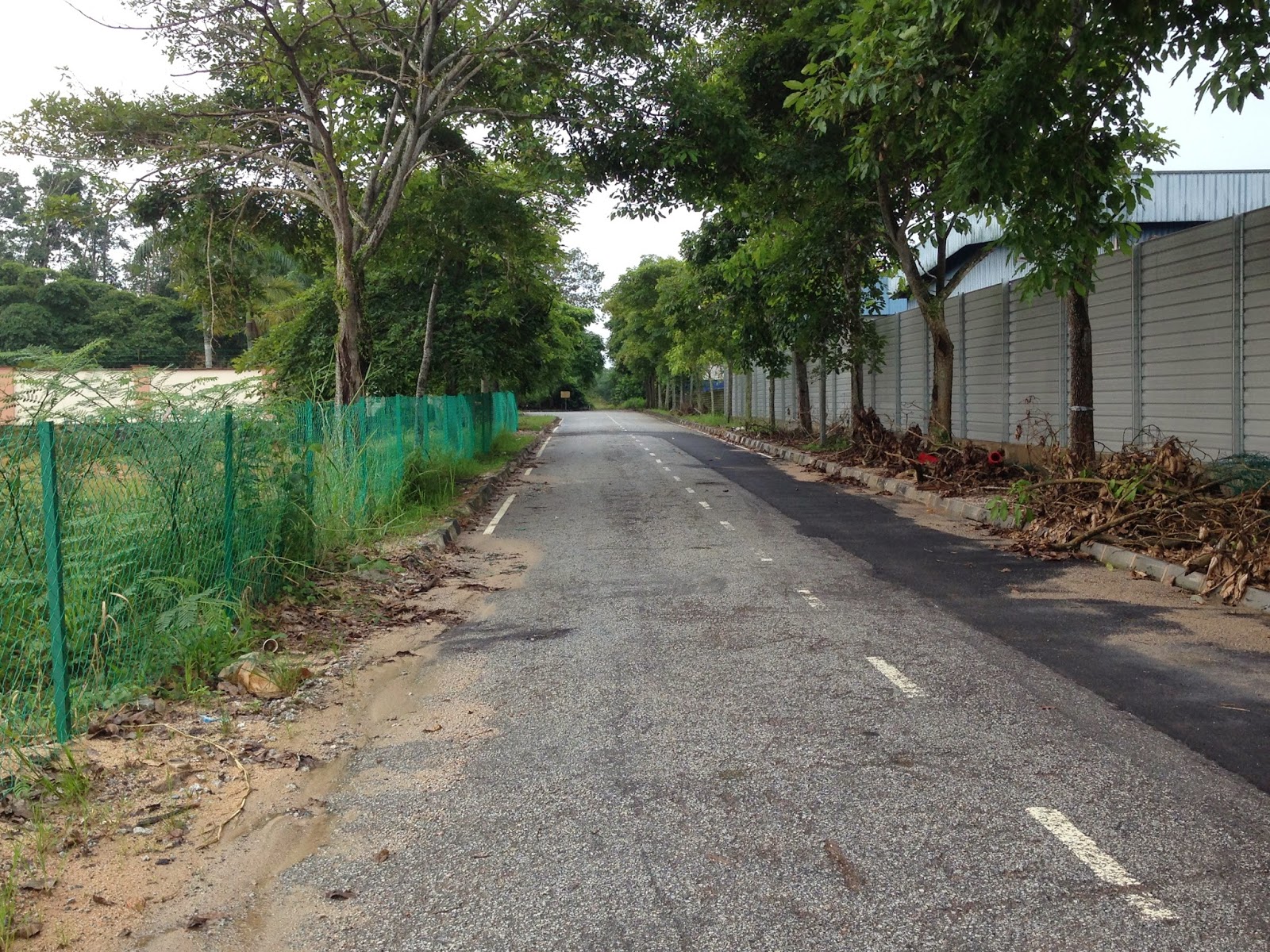 Senai Industrial Park Land For Sale