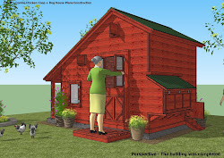 chicken coop plans dog combo construction cb100 building insulated roof completed perspective