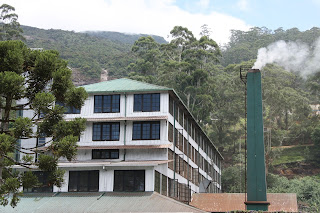 Mackwoods Tea Plantation Mackwoods Tea Plantation