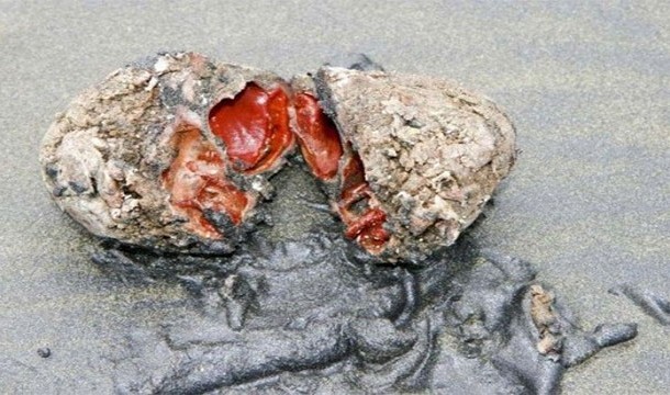 These 20 Unbelievable Pictures Might Look Like An Illusion But They Are Absolutely Real - Living Rocks
