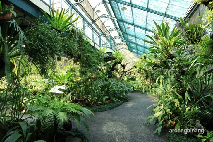 rumah anggrek kebun raya bogor
