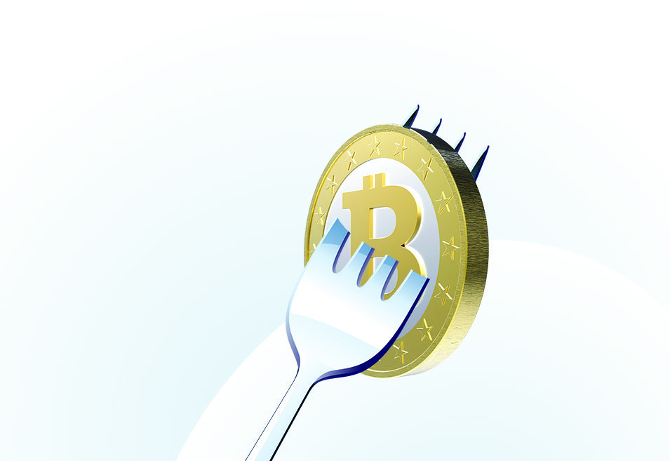 bitcoin cash fork