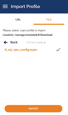 Import OpenVPN - ITSTAFF.web.id