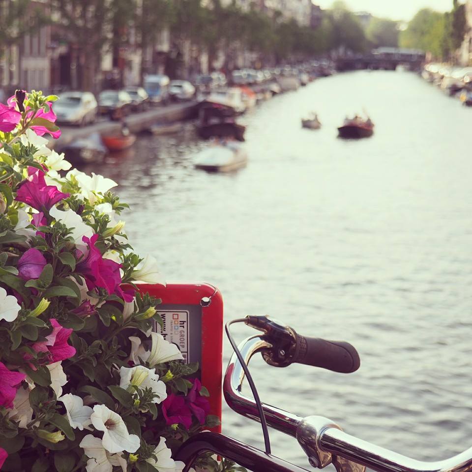 Amsterdam Meine 11 Liebsten Aktivitaten Und Tipps Tasteboykott