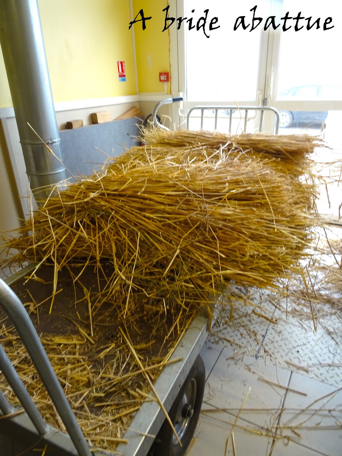 A bride abattue Tout savoir sur le SainteMauredeTouraine