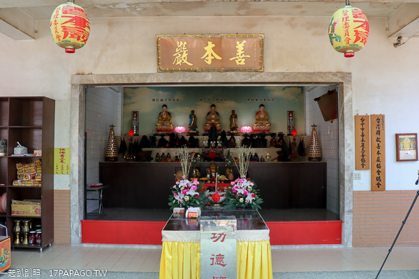 台中北屯|2019大坑濁水巷櫻花林|走木棧道賞5千棵櫻花|善本巖|免費入園賞花 台中北屯|2019大坑濁水巷櫻花林|走木棧道賞5千棵櫻花|善本巖|免費入園賞花