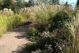 Fall ornamental grasses and perennials Courante section Toronto Music Garden by garden muses-not another Toronto gardening blog