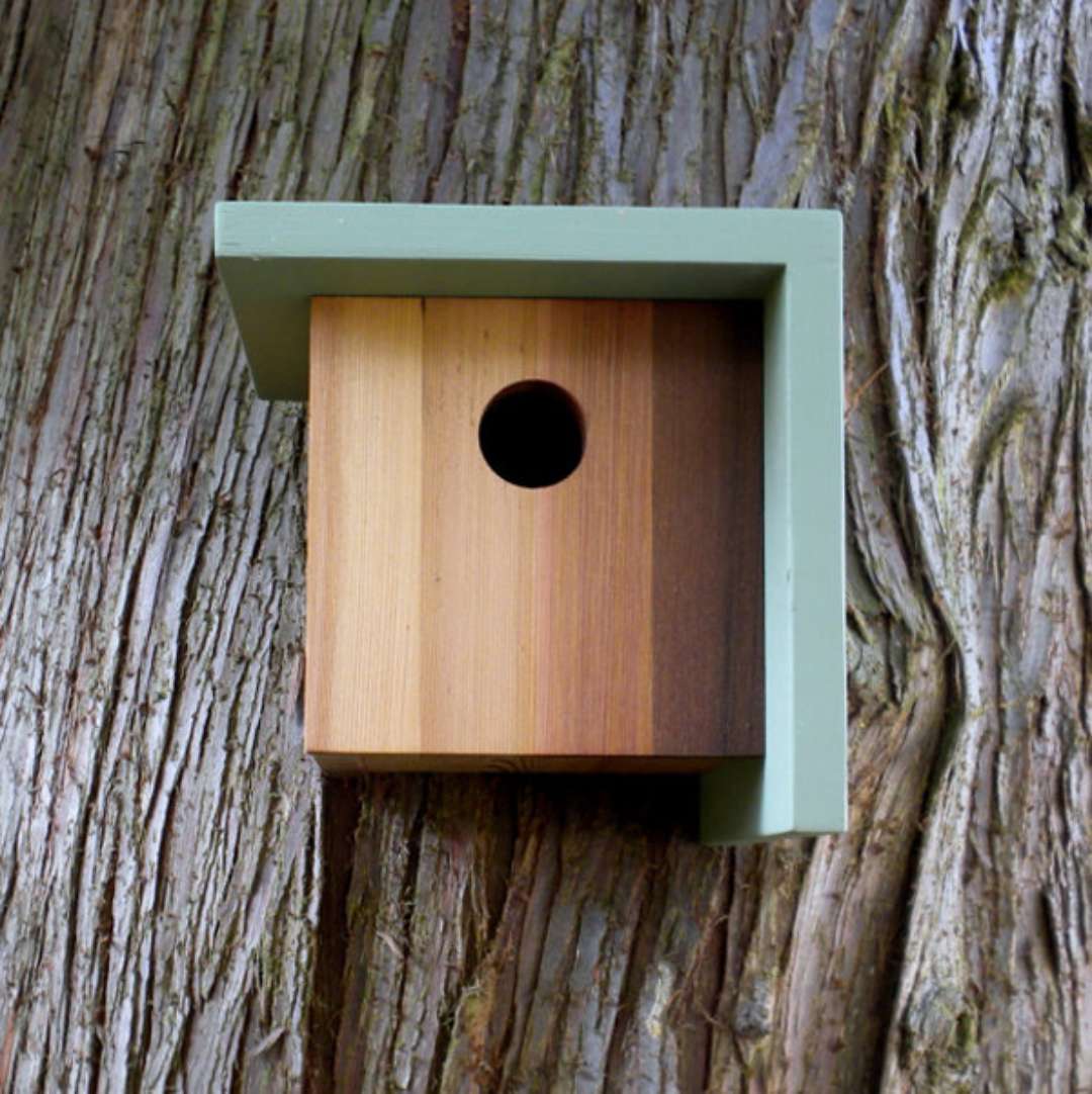Bird In Everything Birdhouse Designs