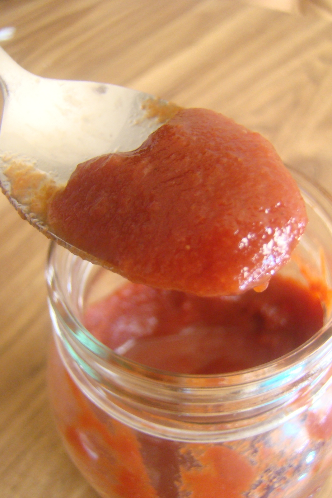 Nourished and Nurtured Homemade Spiced Ketchup (primal GAPS gluten