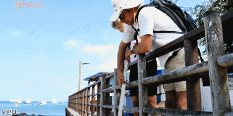 갈라파고스에서 동물과 인간의 공존 ㅋㅋㅋ.jpgif | 인스티즈