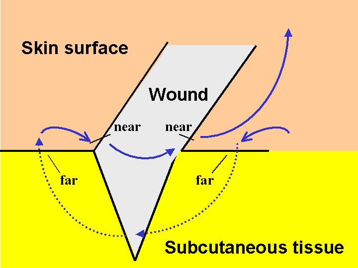 Vertical перевод. Grapher translation. Horizontal and vertical stretch. Vertical angle pair relationship. Horizontal and vertical stretch.