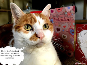 Feline Fiction on Fridays #119 at Amber's Library ©BionicBasil® Valentine's Throwback 2018