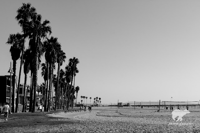 Venice Beach, CA.