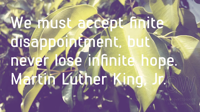 We must accept finite disappointment, but never lose infinite hope. Martin Luther King, Jr.